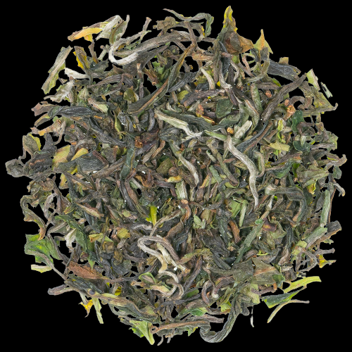 Darjeeling FTGFOP1 Puttabong First Flush DJ-9 Flugtee aus 2024