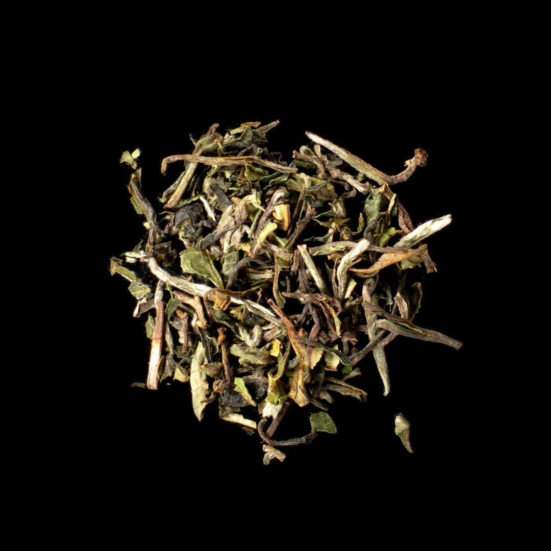 Darjeeling FTGFOP1 Gielle DJ2 Flugtee aus 2024