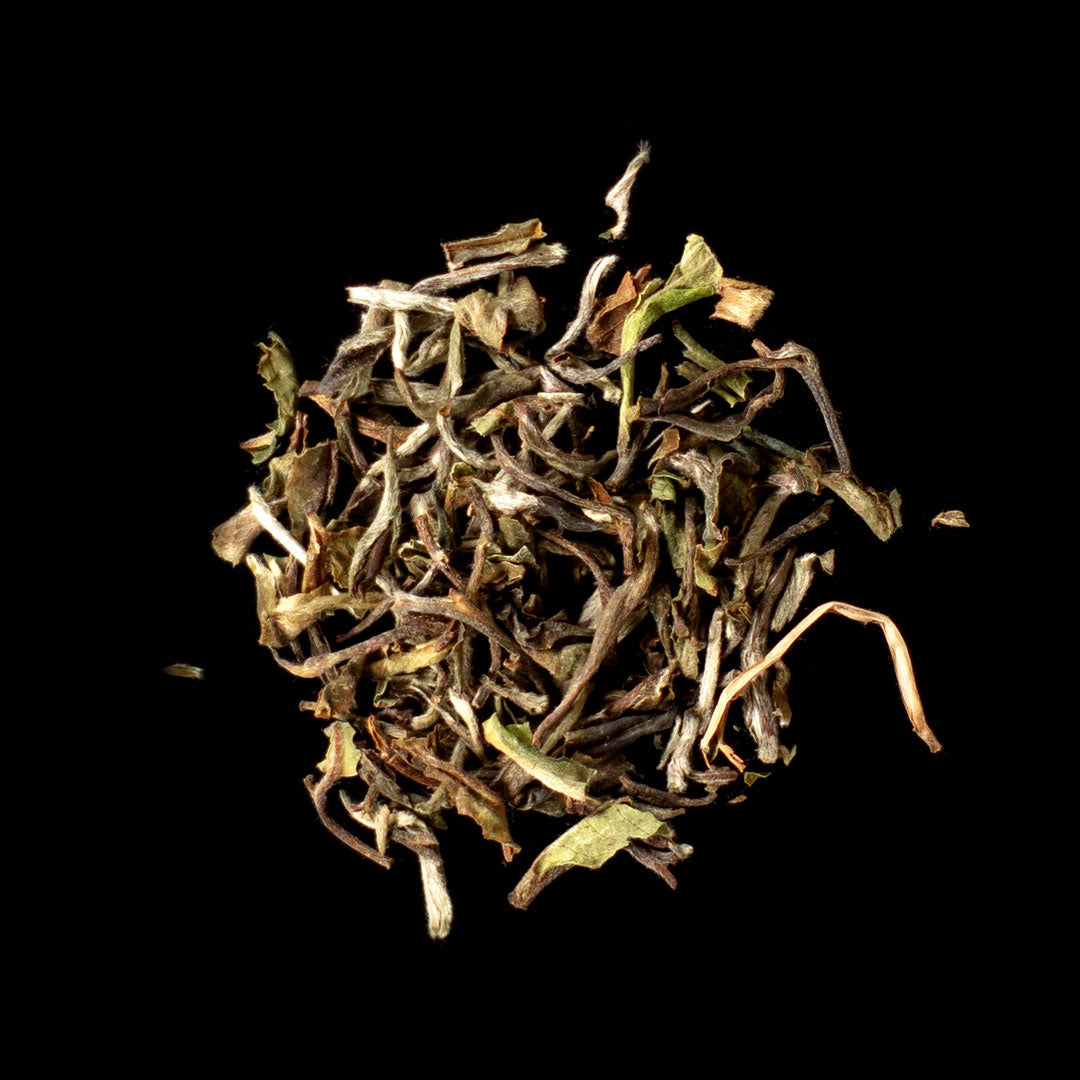 Darjeeling* FTGFOP1 TEESTA VALLEY DJ3 Flugtee aus 2024