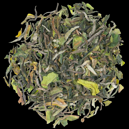 ST Darj FTGFOP1 Gielle ff DJ3