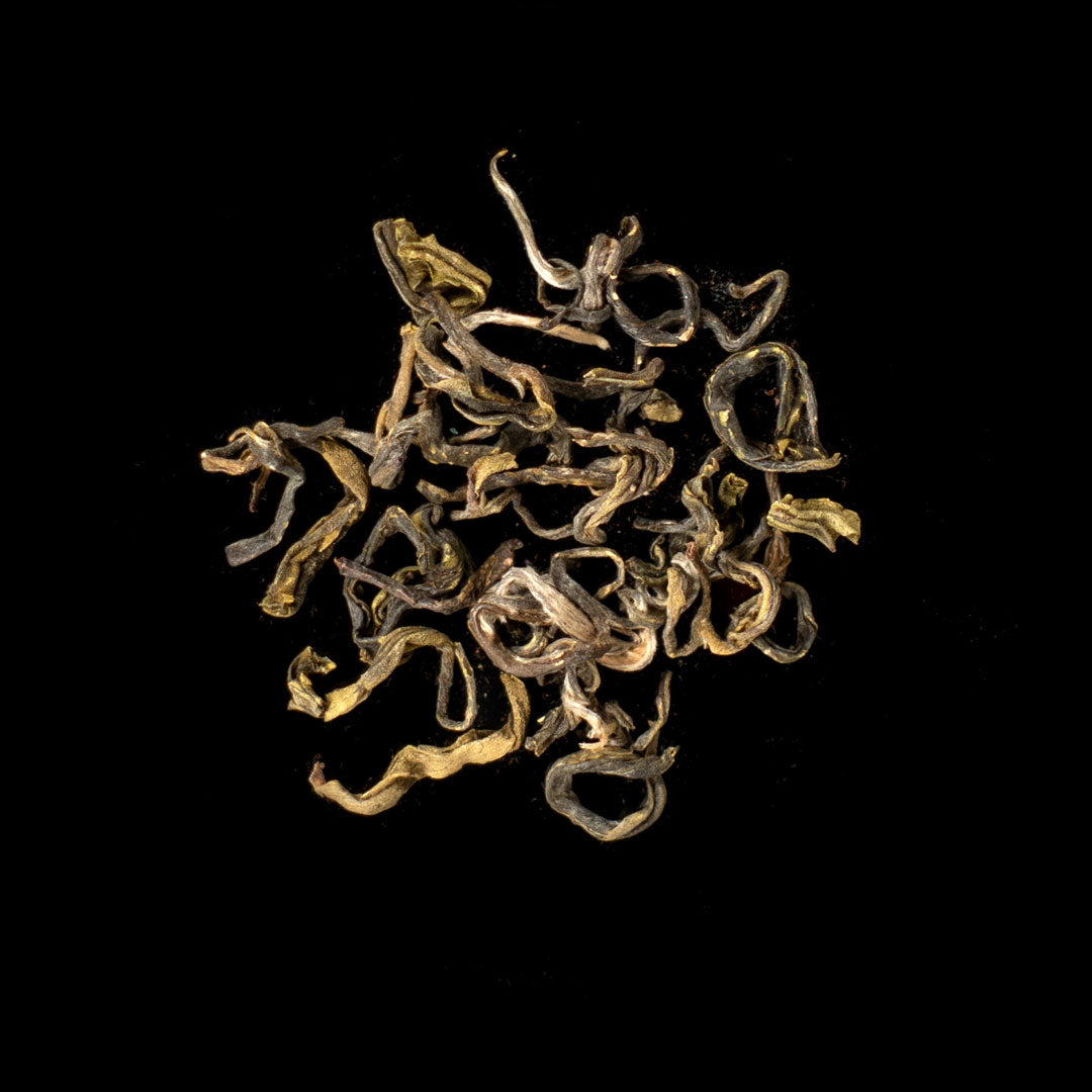 Evergreen Jun Chiyabari Nepal - Grüner Tee