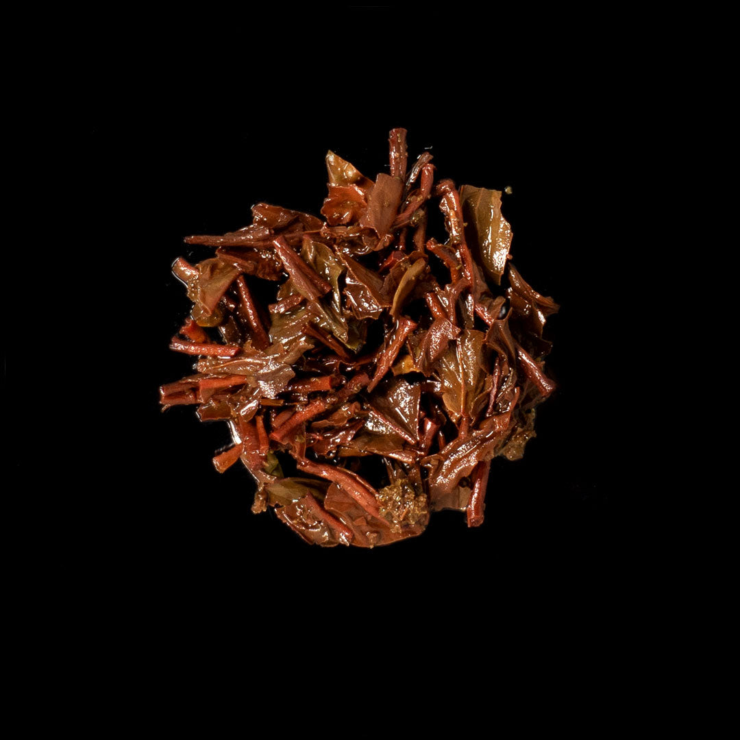 Shawlands Ceylon UVA OP1 - Schwarzer Tee